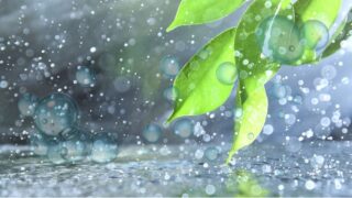 ココロの住処（sumika）