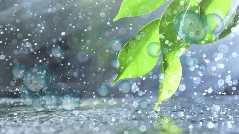 ココロの住処（sumika）